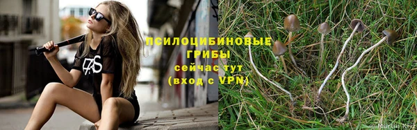 прущая мука Заволжск