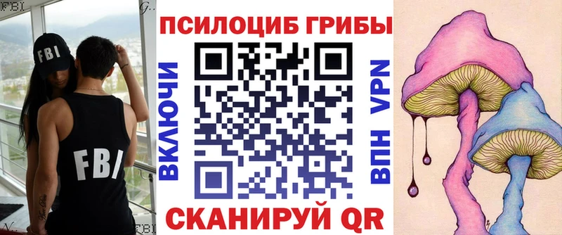 Галлюциногенные грибы мицелий  Купить  Карпинск 